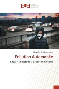 bokomslag Pollution Automobile