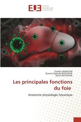 Les principales fonctions du foie
