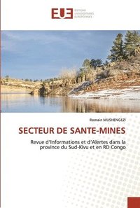 bokomslag Secteur de Sante-Mines