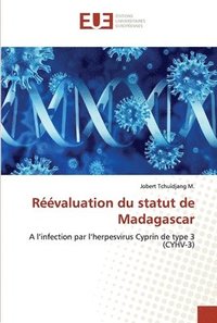 bokomslag Rvaluation du statut de Madagascar