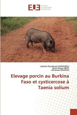 Elevage porcin au Burkina Faso et cysticercose  Taenia solium 1