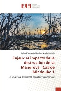 bokomslag Enjeux et impacts de la destruction de la Mangrove