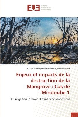 Enjeux et impacts de la destruction de la Mangrove 1