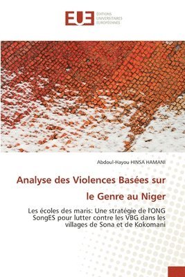 bokomslag Analyse des Violences Basées sur le Genre au Niger