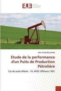 bokomslag Etude de la performance d'un Puits de Production Ptrolire