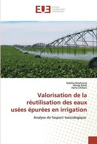 bokomslag Valorisation de la rutilisation des eaux uses pures en irrigation