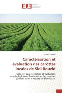 bokomslag Caractrisation et valuation des carottes locales de Sidi Bouzid
