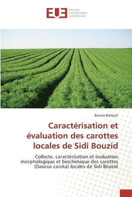 Caractrisation et valuation des carottes locales de Sidi Bouzid 1