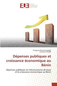 bokomslag Dpenses publiques et croissance conomique au Bnin