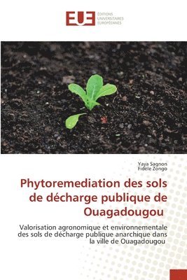 bokomslag Phytoremediation des sols de dcharge publique de Ouagadougou