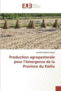 bokomslag Production agropastorale pour l'mergence de la Province du Kwilu