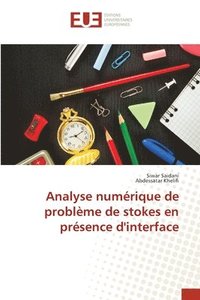 bokomslag Analyse numrique de problme de stokes en prsence d'interface