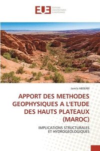 bokomslag Apport Des Methodes Geophysiques a l'Etude Des Hauts Plateaux (Maroc)