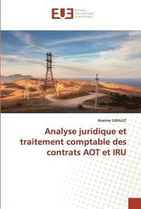 bokomslag Analyse juridique et traitement comptable des contrats AOT et IRU