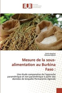 bokomslag Mesure de la sous-alimentation au Burkina Faso