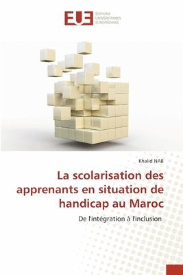 bokomslag scolarisation des apprenants en situation de handicap au Maroc