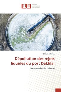 bokomslag Depollution des rejets liquides du port Dakhla