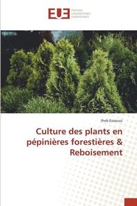 bokomslag Culture des plants en ppinires forestires & Reboisement