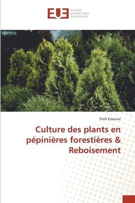 Culture des plants en ppinires forestires & Reboisement 1