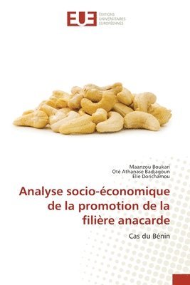 bokomslag Analyse socio-conomique de la promotion de la filire anacarde