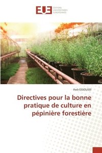 bokomslag Directives pour la bonne pratique de culture en ppinire forestire