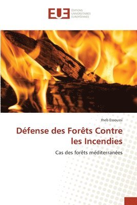 bokomslag Dfense des Forts Contre les Incendies