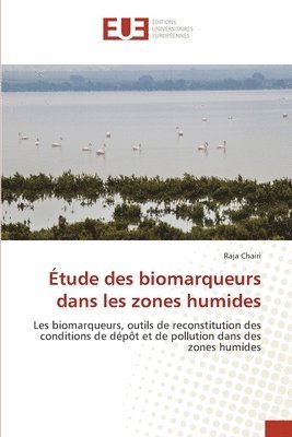 bokomslag Étude des biomarqueurs dans les zones humides