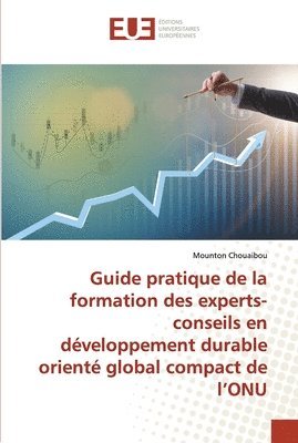 Guide pratique de la formation des experts-conseils en developpement durable oriente global compact de l'ONU 1