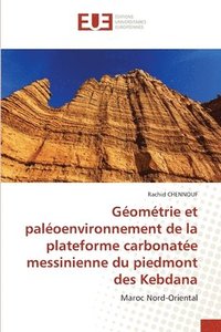 bokomslag Geometrie et paleoenvironnement de la plateforme carbonatee messinienne du piedmont des Kebdana