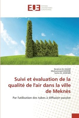 bokomslag Suivi et valuation de la qualit de l'air dans la ville de Mekns