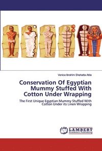 bokomslag Conservation Of Egyptian Mummy Stuffed With Cotton Under Wrapping