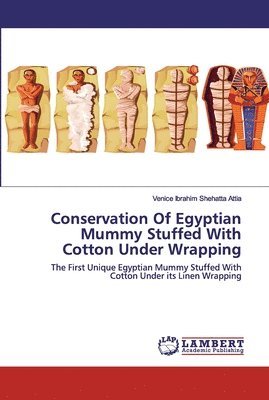 bokomslag Conservation Of Egyptian Mummy Stuffed With Cotton Under Wrapping