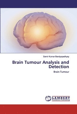 bokomslag Brain Tumour Analysis and Detection