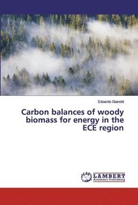 bokomslag Carbon balances of woody biomass for energy in the ECE region