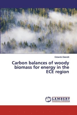 Carbon balances of woody biomass for energy in the ECE region 1