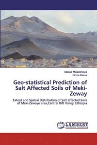 bokomslag Geo-statistical Prediction of Salt Affected Soils of Meki-Zeway
