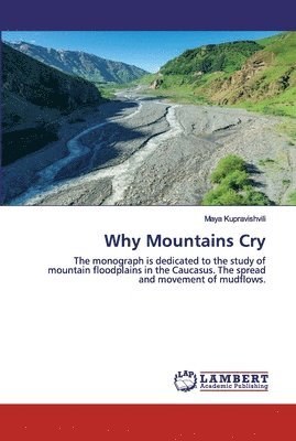 bokomslag Why Mountains Cry