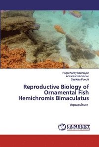 bokomslag Reproductive Biology of Ornamental Fish Hemichromis Bimaculatus