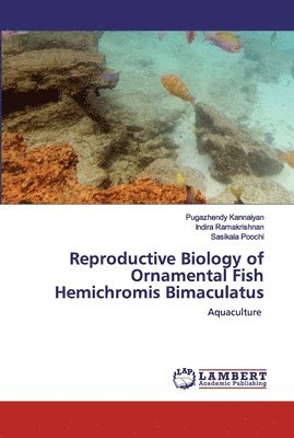 Reproductive Biology of Ornamental Fish Hemichromis Bimaculatus 1