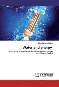 bokomslag Water and energy