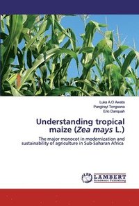 bokomslag Understanding tropical maize (Zea mays L.)