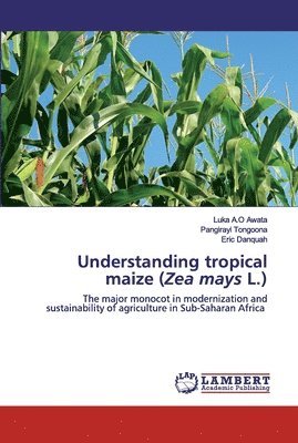 Understanding tropical maize (Zea mays L.) 1