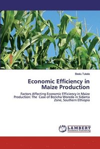 bokomslag Economic Efficiency in Maize Production