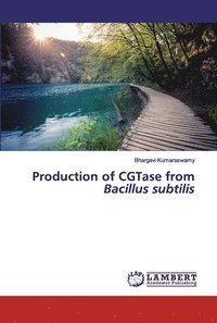 bokomslag Production of CGTase from Bacillus subtilis