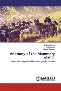 bokomslag Anatomy of the Mammary gland