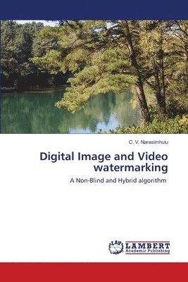 bokomslag Digital Image and Video watermarking