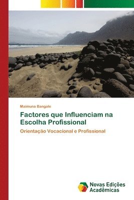 Factores que Influenciam na Escolha Profissional 1