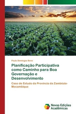 bokomslag Planificao Participativa como Caminho para Boa Governao e Desenvolvimento