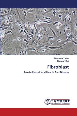 Fibroblast 1