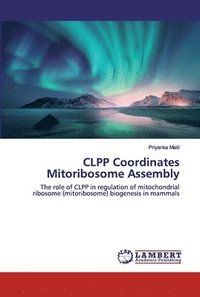 bokomslag CLPP Coordinates Mitoribosome Assembly
